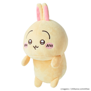 Posture Pal - CHiiKAWA - Collector Charm