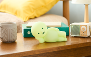 SMISKI Touch Light Vol. 2 - Mini Pick