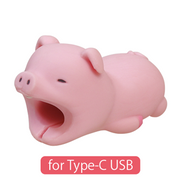 CABLE BITE for Type-C USB - Daily Choice