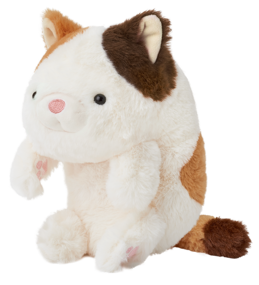 Posture Pal - Lucky Find
