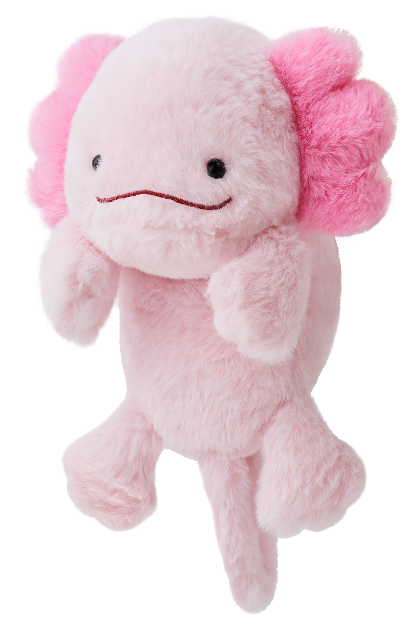 Posture Pal - Collector Pick
