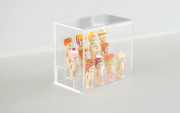 Sonny Angel Acrylic Display Case - Classic Style