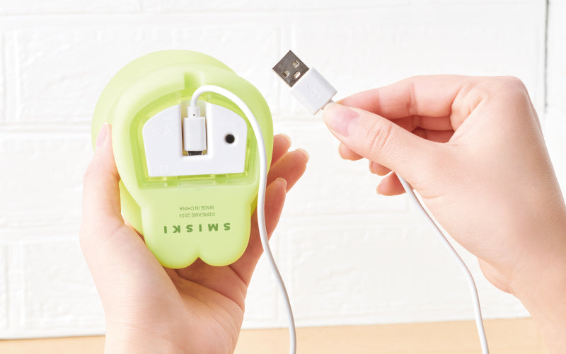 SMISKI Touch Light - Room Accent