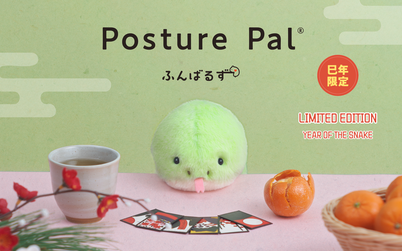 Posture Pal - Dream Display