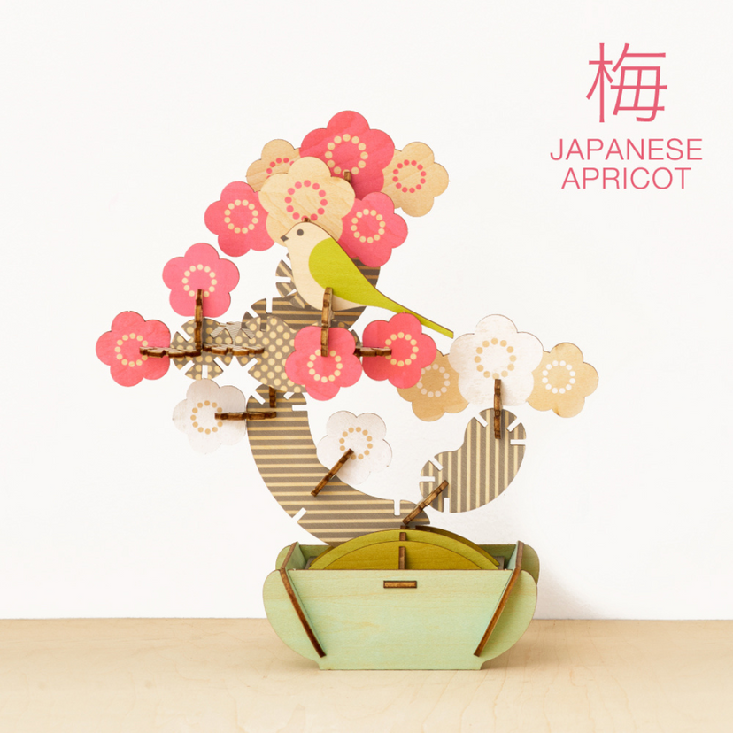 Play Plants Bonsai Puzzles - Gift Ready