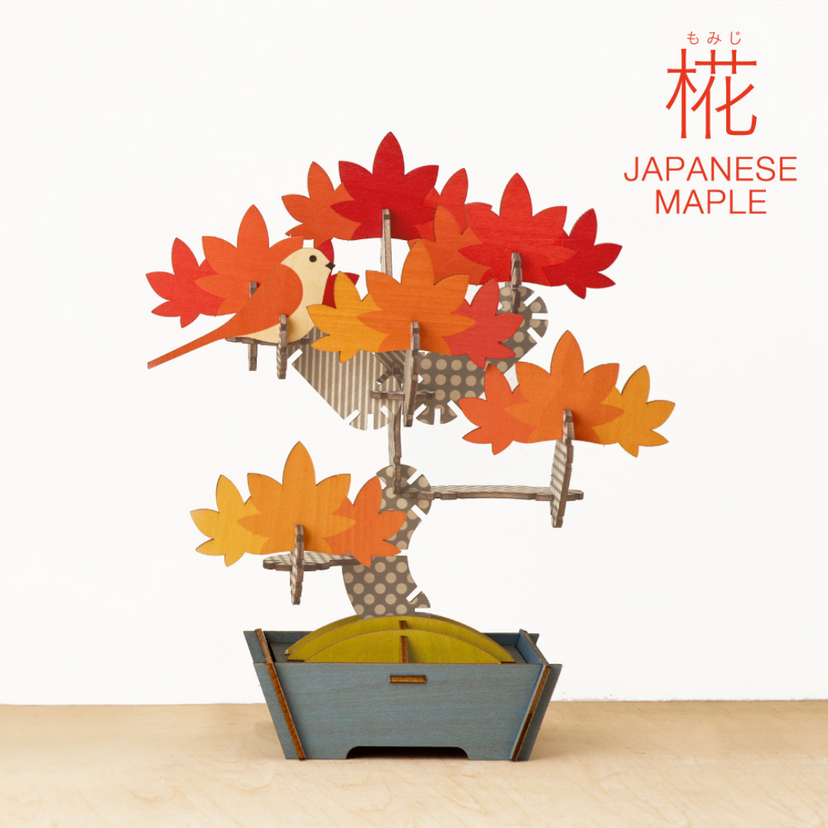 Play Plants Bonsai Puzzles - Gift Accent