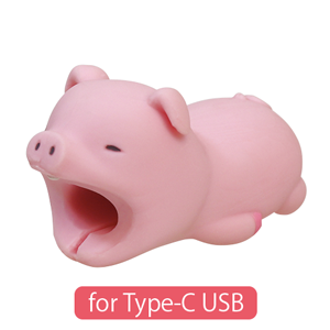 CABLE BITE for Type-C USB - Daily Choice